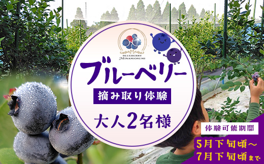 鹿児島県の南国！南大隅町の農園で、ブルーベリー摘み取り体験♪ ブルーベリー摘み取り体験チケット ≪大人2名様分≫ BO-4｜鹿児島県 南大隅町 農園 収穫体験 果物 ブルーベリー チケット 体験 本土最南端