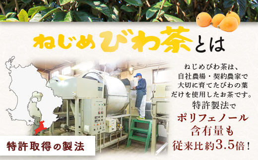 びわ茶化粧品3点セット | スキンケア クリーム 石けん 化粧水 ポリフェノール トルマリン石 低刺激 界面活性剤 保存料 着色料 不使用 びわ葉エキス 馬油 プラセンタエキス ヒアルロン酸 産地直送 鹿児島県 南大隅町 十津川農場 TO-7