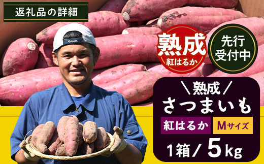 先行予約【2025年11月下旬より順次発送】【鹿児島県産】熟成 紅はるか 5kg (1箱 ) Mサイズ さつまいも（AX72214）