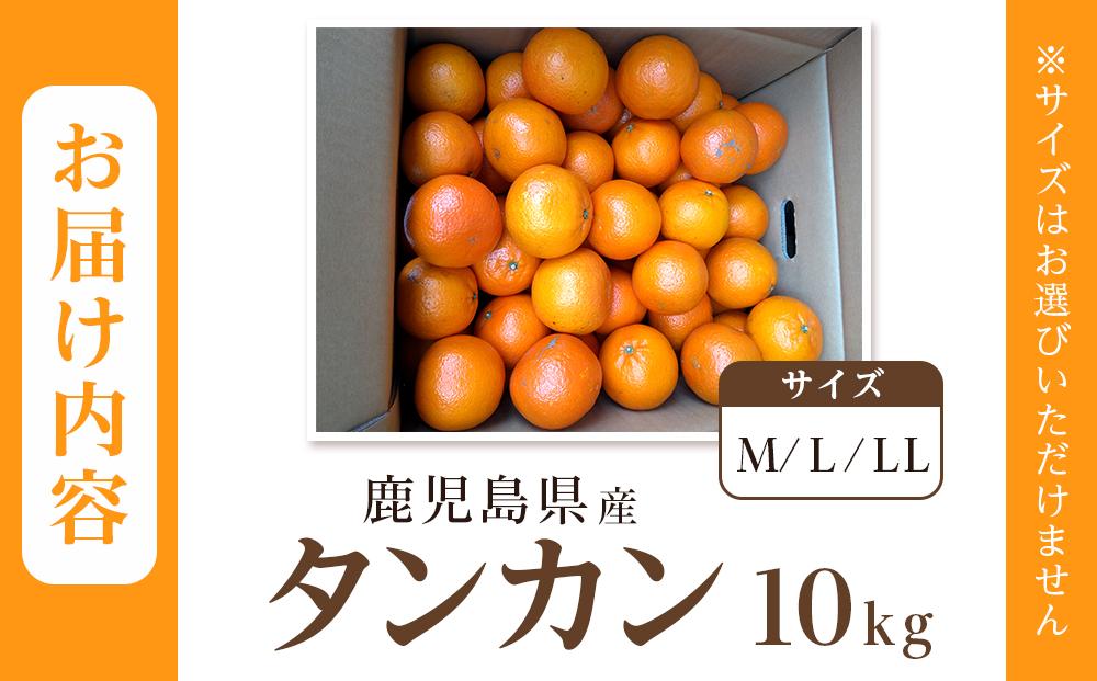 ≪2025年2月下旬以降発送≫先行予約 タンカン 10kg (サイズ指定不可) 数量限定