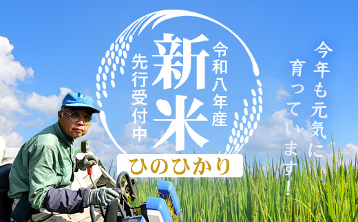 【令和8年産 新米！】《先行予約》 ひのひかり 約10kg（5kg×2袋） ID-7｜ 鹿児島県 南大隅町 辺塚産 白米 こめ コメ 5キロ 10キロ ご飯 大自然のお米 国産 産地直送 2026年産 しんまい