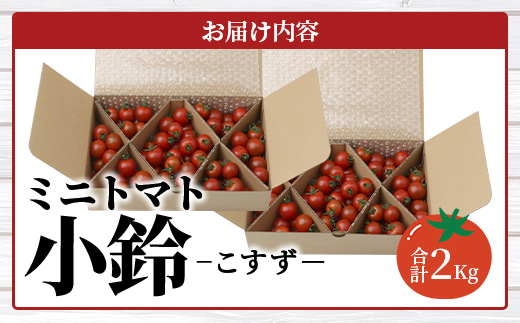 【先行予約】田淵さんちの美味しいミニトマト 小鈴2kg（1.0kg×２箱）