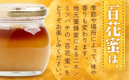【数量限定】日本みつばち蜂蜜 31Honey（サーティーワン ハニー） ハチミツ3種セット（100g×3個） MM-1｜はちみつ 日本みつばち 養蜂 百花蜜 瓶詰 産地直送 常温 鹿児島県 南大隅町 南大隅町日本みつばち研究会