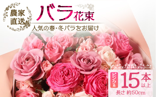 【先行予約】【人気の春・冬薔薇をお届け】ばら農家直送！バラ花束15本以上お届け(ピンク系) 【ギフト対応可】│ローズ 新鮮 花 フラワー 花束 ばら 薔薇 バラ 誕生日 記念日 結婚祝い ギフト プレゼント お祝い 贈り物 贈答 鹿児島県 南大隅町 富田バラ園 TB-10