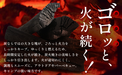 南大隅町産 炭（約3kg) NI-1｜樫の木 マテの木 木炭 備長炭タイプ 高級炭 火力 火持ち 扱いやすい BBQ アウトドア グリル キャンプ 鹿児島県 南大隅町 なんたん市場