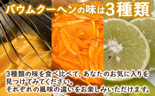 カットバウム３種×２個(計24カット)｜菓子 おかし 焼き菓子 スイーツ デザート バウムクーヘン 食品 人気 おすすめ 柑橘系 プレーン たんかん 辺塚だいだい SH-1