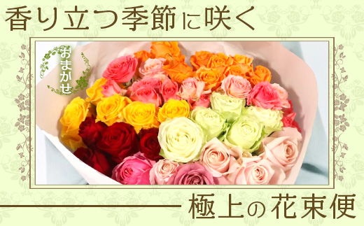 【先行予約】【人気の春・冬薔薇をお届け】ばら農家直送！バラ花束30本以上お届け(色はおまかせ) 【ギフト対応可】│ローズ 新鮮 花 フラワー 花束 ばら 薔薇 バラ 誕生日 記念日 結婚祝い ギフト プレゼント お祝い 贈り物 贈答 鹿児島県 南大隅町 富田バラ園 TB-16