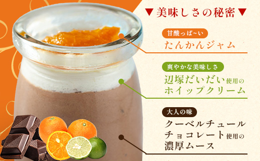 だいたんな！恋するショコラ & バウムセット（だいたんなショコラ6個＋バウムクーヘン・≪極≫辺塚だいだい）SH-5| たんかん 辺塚だいだい ソース ムース チョコレートムース ショコラ贅沢 スイーツ フルーツ プリン バウムクーヘン バームクーヘン スイーツ ケーキ 焼き菓子 洋菓子 手作り おしゃれ オリジナル ギフトボックス プレゼント 鹿児島県 南大隅町 31℃LINE花子 