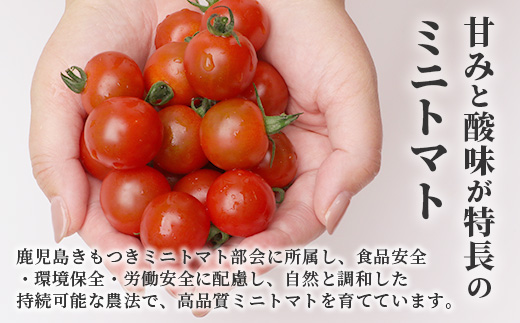 【先行予約】田淵さんちの美味しいミニトマト 小鈴2kg（1.0kg×２箱）