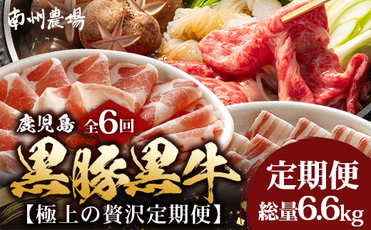 【全6回】黒豚・黒牛の極上の贅沢定期便 〜牛肉と豚肉交互に楽しむ贅沢なひととき〜 NS-38 | 牛 肉 お肉 ブランド牛 黒毛和牛 鹿児島黒豚 黒豚 豚肉 豚 ぶた肉 霜降り サシ ロース しゃぶしゃぶ すき焼き すきやき 甘い やわらかい 冷凍 産地直送 肉定期便 南大隅町