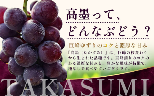 【期間限定・数量限定】本土最南端のぶどう 高墨 約2kg(4～6房）種無し TE-2｜ 黒ぶどう たかすみ 産地直送 旬 ブドウ 葡萄 ぶどう フルーツ 果物 くだもの 果実 巨峰 枝変わり 鹿児島県 南大隅町 有限会社ティエラ　