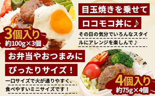鹿児島県産 ひかり麦豚 手捏ねハンバーグ セット サイズ違い 大中小 計22個 | 肉 お肉 にく 豚肉 黒豚 かごしま黒豚 手ごね 絶品 ハンバーグ 添加物不使用 肉汁 ジューシー おかず お弁当 ロコモコ 冷凍 産地直送 小分け 甘み 鹿児島県 南大隅町 ひかり麦豚直売所 HM-705