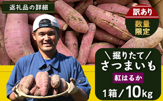 [訳あり！]先行予約【2025年9月中旬より順次発送】さつまいも 紅はるか 堀りたて 10kg (1箱 ) 新物 鹿児島県産（AX72208）