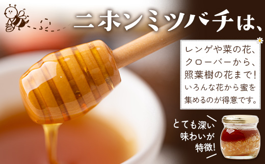 【数量限定】日本みつばち蜂蜜 31Honey（サーティーワン ハニー） ハチミツ3種セット（100g×3個） MM-1｜はちみつ 日本みつばち 養蜂 百花蜜 瓶詰 産地直送 常温 鹿児島県 南大隅町 南大隅町日本みつばち研究会