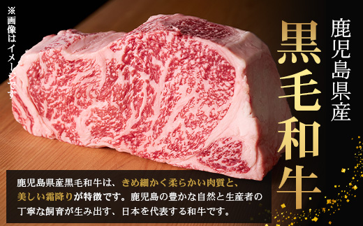 ［2種類］＼日本料理人の手作り／ 鹿児島県産 黒毛和牛レトルトパック 2種セット ≪合計6パック≫ ミートソース（240g×3パック）/すじカレー（240g×3パック） GN-12｜鹿児島県 南大隅町 あたためるだけ 黒毛和牛 牛すじ 牛肉 カレー ミートソース おかず 時短 銀シャリ中はら