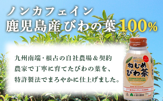 【定期便 12ヶ月全6回】 鹿児島県産 ねじめびわ茶 ボトル缶 12ケース ≪ 1回あたり48本 (24本入り×2箱) ≫ 2か月おきにお届け ノンカフェイン TO-525 | 国産 お茶 健康茶 カロリーゼロ 缶 持ち運び 無香料 無着色 ポリフェノール さわやか 甘み 香ばしい おいしい びわの葉 産地直送 鹿児島県 南大隅町 十津川農場