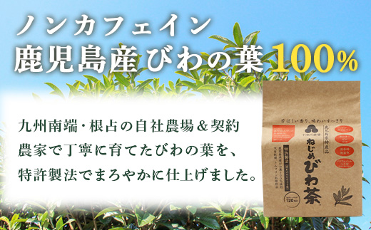 ねじめびわ茶120包入＆スティックゼリー30本入　セット
