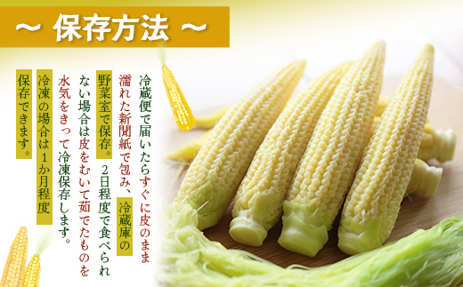 【2026年先行予約】【数量限定】 ヒゲまで美味しい 皮つき ヤングコーン 30本 （FR-520）