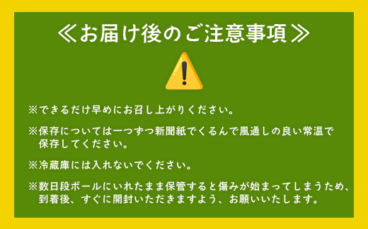 先行予約【 2026年1月より順次発送】さつまいも 熟成 紅はるか 2.5kg ( 500g × 5袋 ) SSサイズ 鹿児島県産