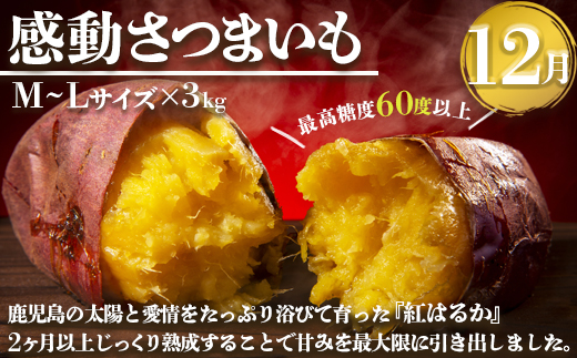 【定期便・ 年4回】農家の感動シリーズA ( 冷凍焼き芋 ゴールドラッシュ 塩茹で落花生  紅はるか )（AX72305）