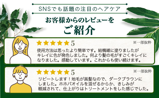 トゥルシー&ヘナ ナチュラルブラウン(染毛料)ホホバオイル付き｜ヘナ 染毛料 ナチュラルブラウン ヘアケア 髪 頭皮 キューティクル ボタニカノン BOTANICANON ケミカルフリー 鹿児島県 南大隅町 ボタニカルファクトリー　BF-6
