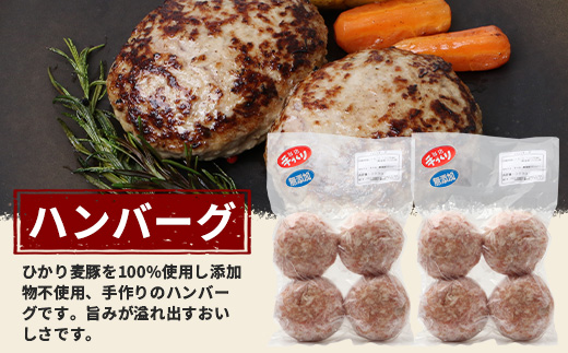 鹿児島県産 ひかり麦豚 手作り惣菜 セット メンチカツ ハンバーグ とんかつ | 肉 お肉 にく 豚肉 黒豚 かごしま黒豚 直売所で人気 焼くだけ 揚げるだけ ミンチ 添加物不使用 肉汁 ジューシー ポーク ステーキ おかず お弁当 冷凍 パック 産地直送 小分け 甘み 鹿児島県 南大隅町 ひかり麦豚直売所 HM-706