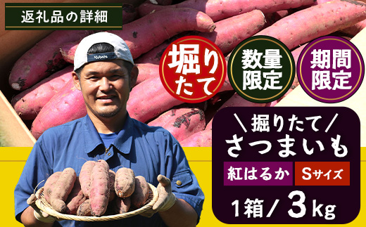 【期間限定！数量限定！】掘りたて さつまいも 紅はるか 3kg（Sサイズ）レシピ付き FR-201 | 秋の味覚 2026年秋収穫 新物 さつまいも サツマイモ 感動サツマイモ 焼き芋 べにはるか 小ぶり 野菜 おやつ おかず お弁当 煮物 芋ごはん 味噌汁 産地直送 鹿児島県 南大隅町 株式会社フォレスト