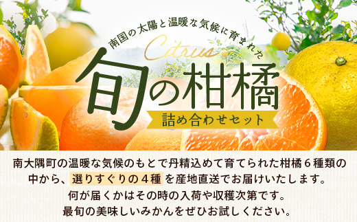 【数量限定】おたのしみ!旬の柑橘詰め合わせセット(4種約5kg) NK-4|果物 柑橘 大将季 ぽんかん スイートスプリング 津之輝 麗江 サワーポメロ 南大隅町 産地直送 詰め合わせ 5kg 国産 数量限定