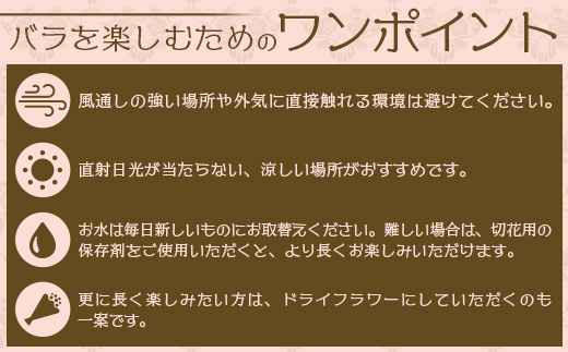 【日付指定必須・ギフト対応可】 夏季限定 ばら農家直送！バラ花束40本以上お届け(赤系) TB-5│ローズ 新鮮 花 フラワー 花束 ばら 薔薇 バラ 誕生日 記念日 結婚祝い ギフト プレゼント お祝い 贈り物 贈答 鹿児島県 南大隅町 富田バラ園