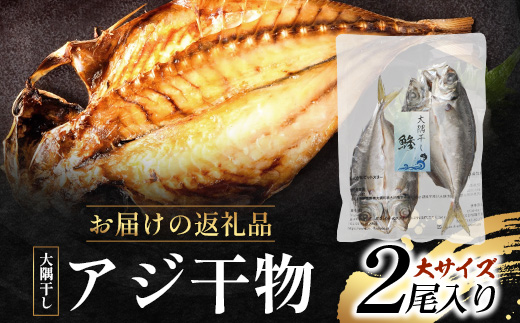 鹿児島県産 アジ 干物 大サイズ×2枚 ≪合計2枚≫［1枚 約22～25センチ］PT-1 | 開き 大隅干し 冷凍 国産 鯵 ひもの 海鮮 新鮮 瞬間冷凍 産地直送 鹿児島県 南大隅町 ピットスリー