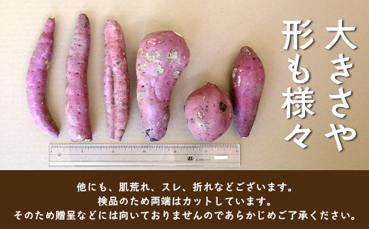 [訳あり！]先行予約【2025年11月下旬より順次発送】熟成 紅はるか 5kg (1箱 ) さつまいも 鹿児島県産