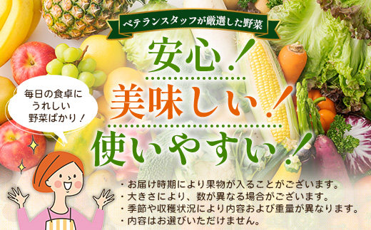 【定期便全6回】いろどり新鮮お野菜セット 10品目以上 NI-5 ｜ 旬 野菜 やさい 果物 くだもの 産地直送 農産物 冷蔵 鹿児島県 南大隅町産 詰合せ おまかせ 家庭用 なんたん市場