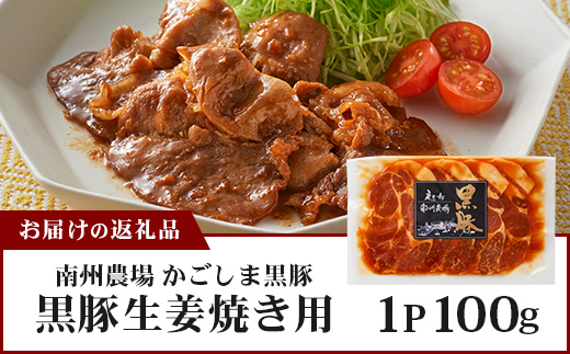鹿児島県産 黒豚生姜焼きセット 100g 味付き肉 冷凍 NS-20 | 鹿児島 黒豚 かごしま黒豚 お肉 肉 豚肉 しょうが焼き 焼くだけ 味付き おかず お弁当 加工肉 真空パック 鹿児島県 南大隅町 南州農場