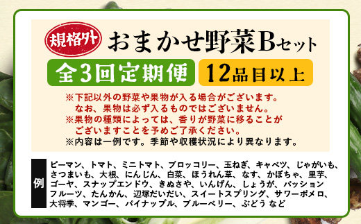 【定期便全3回】【規格外】本土最南端から 旬のおまかせ野菜セットB 12品目以上 NI-7 ｜ 旬 野菜 やさい 果物 くだもの 産地直送 農産物 冷蔵 鹿児島県 南大隅町産 詰合せ おまかせ 家庭用 訳あり なんたん市場