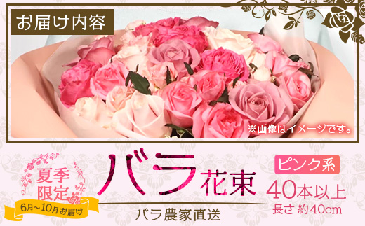 【日付指定必須・ギフト対応可】 夏季限定 ばら農家直送！バラ花束40本以上お届け(ピンク系) TB-6│ローズ 新鮮 花 フラワー 花束 ばら 薔薇 バラ 誕生日 記念日 結婚祝い ギフト プレゼント お祝い 贈り物 贈答 鹿児島県 南大隅町 富田バラ園