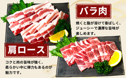 鹿児島県産 ひかり麦豚 しゃぶしゃぶ 焼肉 セット 300g×3パック 計900g ＋ 楽塩の粗びき塩こしょう | 肉 お肉 にく 豚肉 黒豚 かごしま黒豚 ロース 肩ロース バラ肉 スライス 粗挽き 塩コショウ 冷凍 真空冷凍 産地直送 新鮮 小分け 甘み 鹿児島県 南大隅町 ひかり麦豚直売所 HM-704