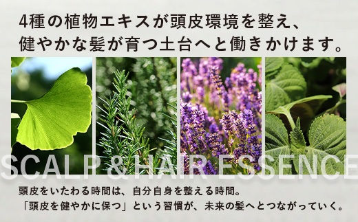 SCALP＆HAIR ESSENCE ライフインブルーム ２本セット（ 50ml＆200ml）VW-3｜スカルプ ヘア ケア 頭皮 髪 エッセンス 植物 エキス 天然 精油 ポータブル リフレッシュ 辺塚だいだい ネロリ たんかん フローラル 鹿児島県 南大隅町 Kruhi Valley and Wind