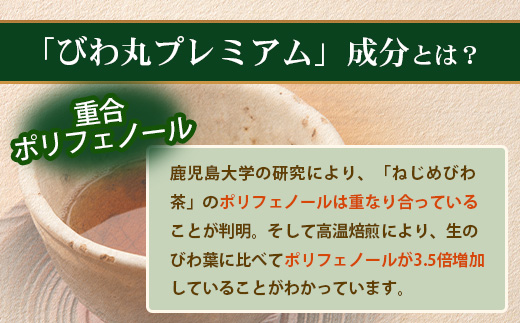 【定期便 全12回】≪12ヶ月連続で毎月お届け≫ びわ丸プレミアム ≪1回あたり(120粒入×1袋) ≫  健康補助食品 びわ茶含有加工食品  TO-12-NP| 国産 びわ茶 びわの葉 サプリメント 乳酸菌 ノンカフェイン ポリフェノール ネコポス 鹿児島県 南大隅町 十津川農場