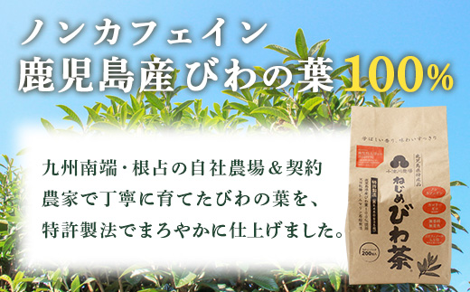 【６回定期便】鹿児島県産 ねじめびわ茶 ティーバック（20包入×10袋）ノンカフェイン TO-23 | 国産 お茶 茶 カロリーゼロ 無香料 無着色 トルマリン石焙煎 さわやか 甘み 香ばしい おいしい びわの葉 産地直送 定期便 鹿児島県 南大隅町 十津川農場