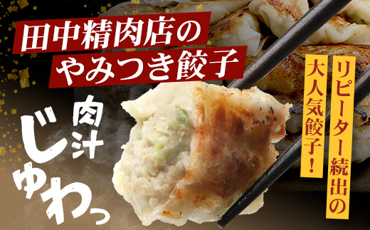 佐多の田中肉屋ニンニクたっぷりやみつき餃子 240個（12個入り×20パック） 餃子のタレ3本付き | ぎょうざ 餃子 ギョウザ にんにく スタミナ餃子 大容量 手作り おかず ビールと一緒に 冷凍 産地直送 鹿児島県 南大隅町 田中精肉店　TA-2