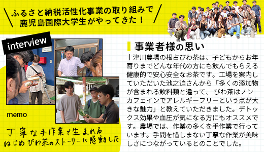 鹿児島県産 ねじめびわ茶 ティーバック（20包入×10袋）ノンカフェイン TO-512 | 国産 お茶 健康茶 カロリーゼロ ポリフェノール 無香料 無着色 トルマリン石焙煎 さわやか 甘み 香ばしい おいしい びわの葉 産地直送 鹿児島県 南大隅町 十津川農場