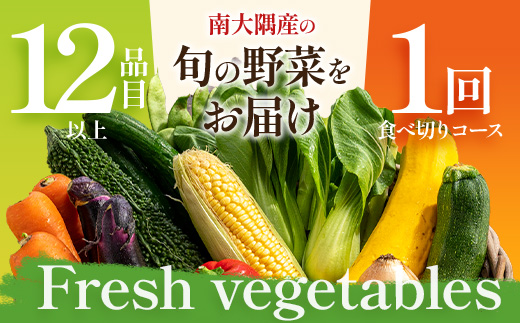 よくばり新鮮お野菜セット 12品目以上 NI-6｜ 旬 野菜 やさい 果物 くだもの 産地直送 農産物 冷蔵 鹿児島県 南大隅町産 詰合せ おまかせ 家庭用 なんたん市場