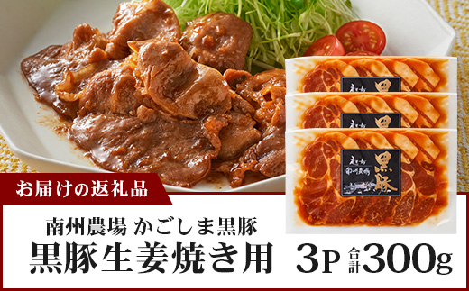 鹿児島県産 黒豚生姜焼きセット 100g×3枚 味付き肉 冷凍 NS-21 | 鹿児島 黒豚 かごしま黒豚 お肉 肉 豚肉 しょうが焼き 焼くだけ 味付き おかず お弁当 加工肉 真空パック 鹿児島県 南大隅町 南州農場