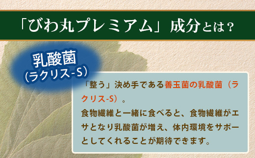 【定期便 全3回】≪3ヶ月連続で毎月お届け≫ びわ丸プレミアム ≪1回あたり(360粒入×1袋) ≫  健康補助食品 びわ茶含有加工食品  TO-13-NP| 国産 びわ茶 びわの葉 サプリメント 乳酸菌 ノンカフェイン ポリフェノール ネコポス 鹿児島県 南大隅町 十津川農場