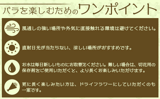 【先行予約】【人気の春・冬薔薇をお届け】ばら農家直送！バラ花束30本以上お届け(色はおまかせ) 【ギフト対応可】│ローズ 新鮮 花 フラワー 花束 ばら 薔薇 バラ 誕生日 記念日 結婚祝い ギフト プレゼント お祝い 贈り物 贈答 鹿児島県 南大隅町 富田バラ園 TB-16