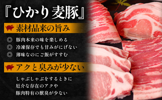 鹿児島県産 ひかり麦豚 ロース三昧セット6種類 （200g×6パック）約1.2kg トレーなし 冷凍 HM-12 | 精肉 肉 お肉 にく 豚肉 ロース肉 ロース 肩ロース 真空冷凍 産地直送 新鮮 小分け 産地直送 鹿児島県 南大隅町 ひかり麦豚直売所