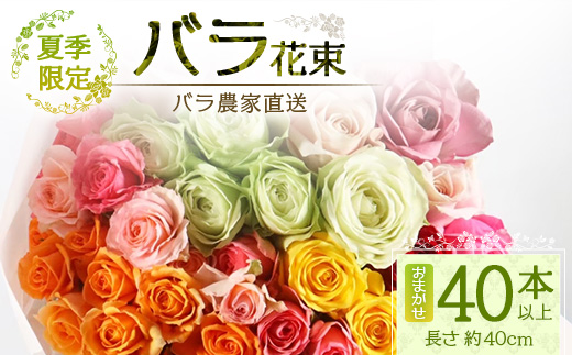 【先行予約・夏季限定 薔薇】ばら農家直送！バラ花束40本以上お届け(色はおまかせ) 【ギフト対応可】│ローズ 新鮮 花 フラワー 花束 ばら 薔薇 バラ 誕生日 記念日 結婚祝い ギフト プレゼント お祝い 贈り物 贈答 鹿児島県 南大隅町 富田バラ園 TB-8