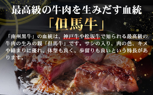 【南州黒牛】霜降りロースステーキ（3127）