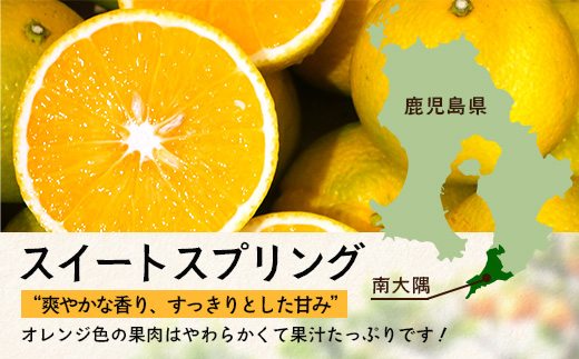【数量限定】鹿児島県南大隅産スイートスプリング 5kg 【2025年12月下旬より順次発送】｜柑橘 くだもの 果物 フルーツ スイートスプリング 食品 人気 おすすめ 南大隅 新鮮 産地直送 爽やか 数量限定（AL7510）