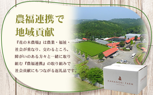 《全6回定期便》<2ヶ月に1回お届け> 花の木農場【ハム詰め合わせセット】7種 計1,000g HK-19│ハム ベーコン クラフトハム 人気 南大隅町 第2花の木ファーム ノウフク ソーセージ 詰め合わせ セット ウインナー 国産 厳選